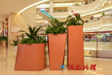 商場(chǎng)標(biāo)識(shí)(花盆）